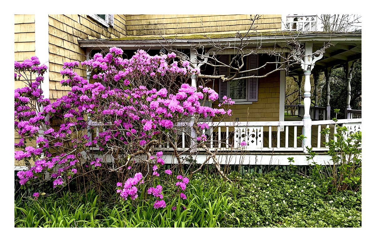 Marthas Vineyard